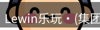 Lewin乐玩·(集团)公司